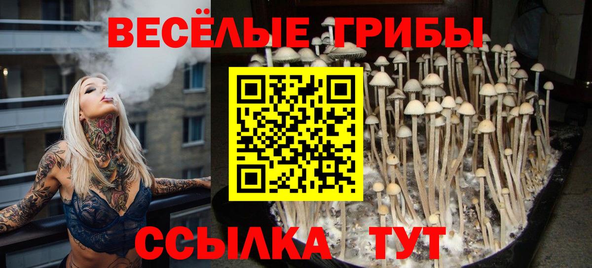 Галлюциногенные грибы ЛСД  закладка  Вход с VPN  Кисловодск  Галлюциногенные грибы Psilocybine cubensis 