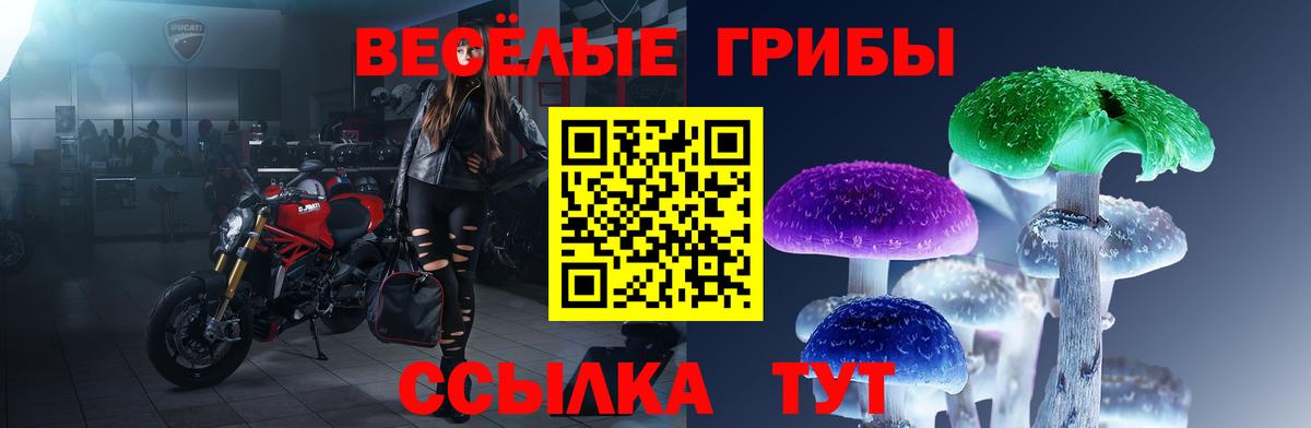 Псилоцибиновые грибы ЛСД Кисловодск